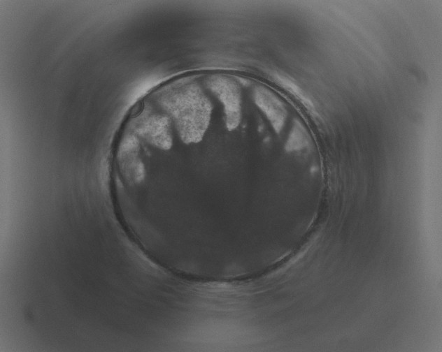 X0000116431463200912291859