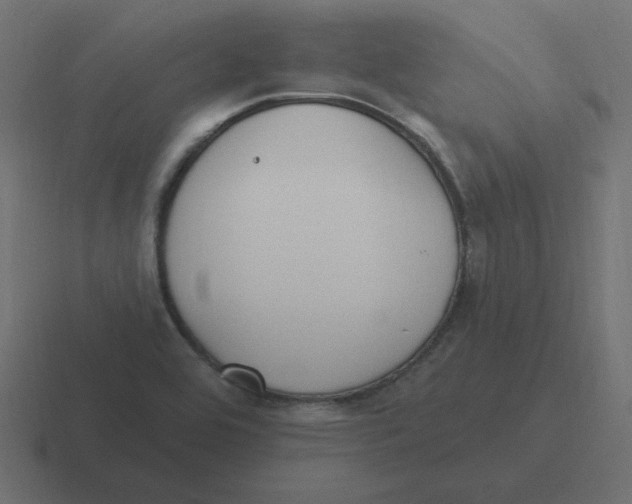 X0000116431464200912291859