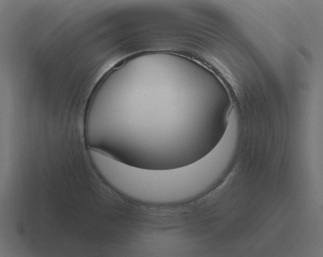 X0000116431465200912291859