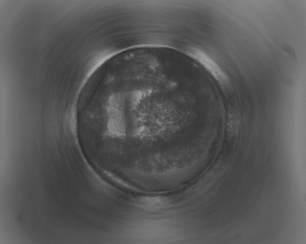 X0000116431468200912291859