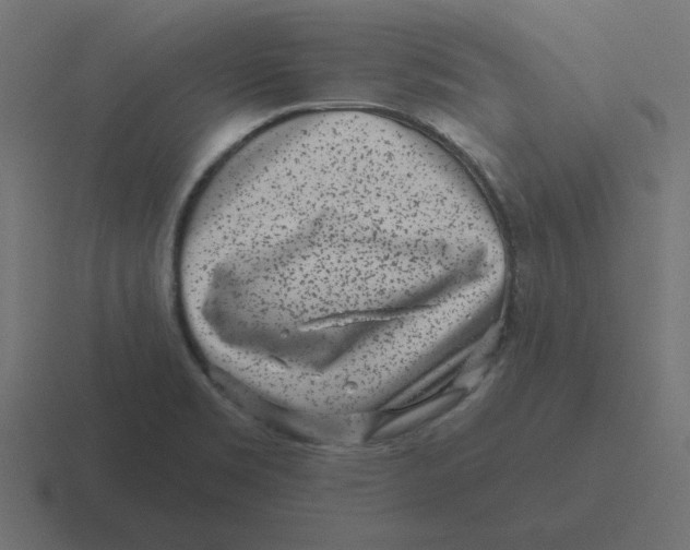 X0000116431469200912291859