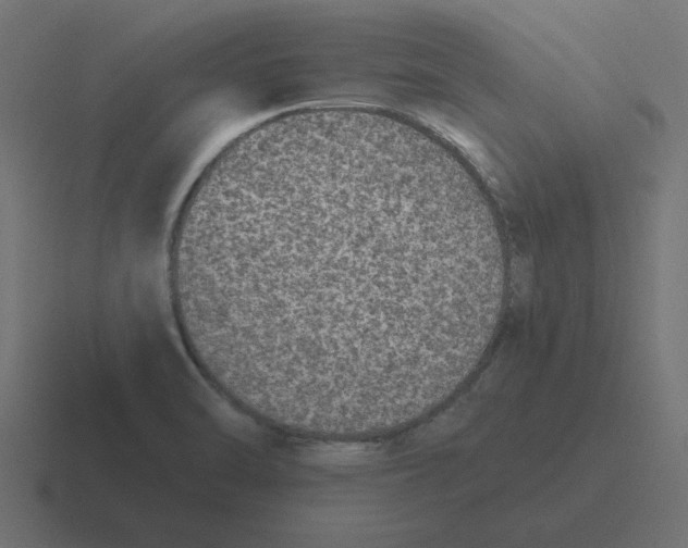 X0000116431470200912291859