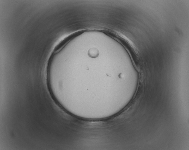 X0000116431471200912291859