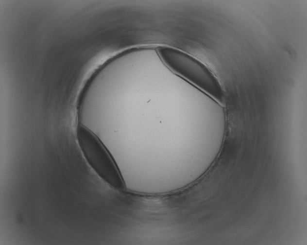 X0000116431472200912291859