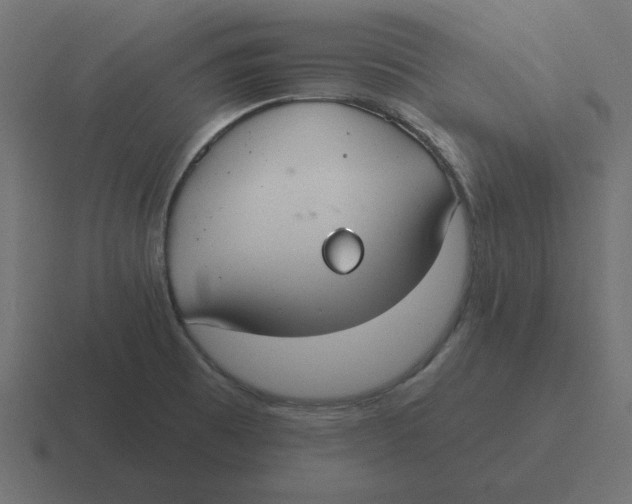 X0000116431473200912291859