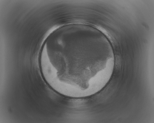 X0000116431474200912291859