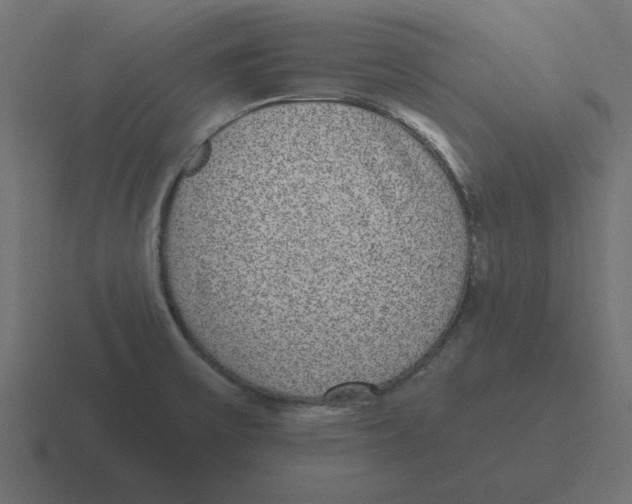 X0000116431475200912291858