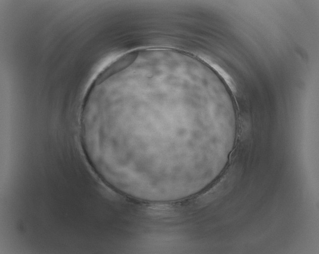 X0000116431477200912291858