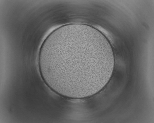 X0000116431478200912291858