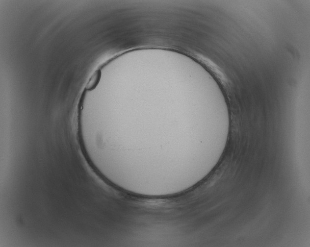 X0000116431479200912291858