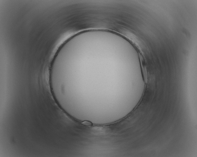 X0000116431480200912291858