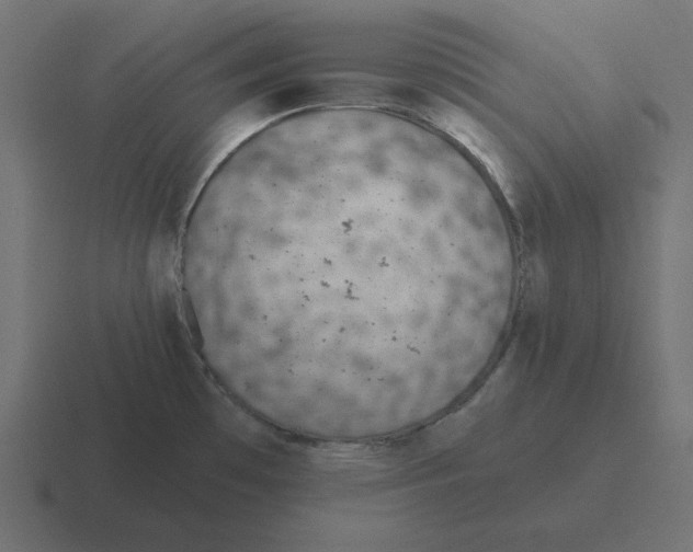 X0000116431481200912291858