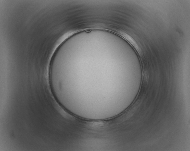 X0000116431482200912291858