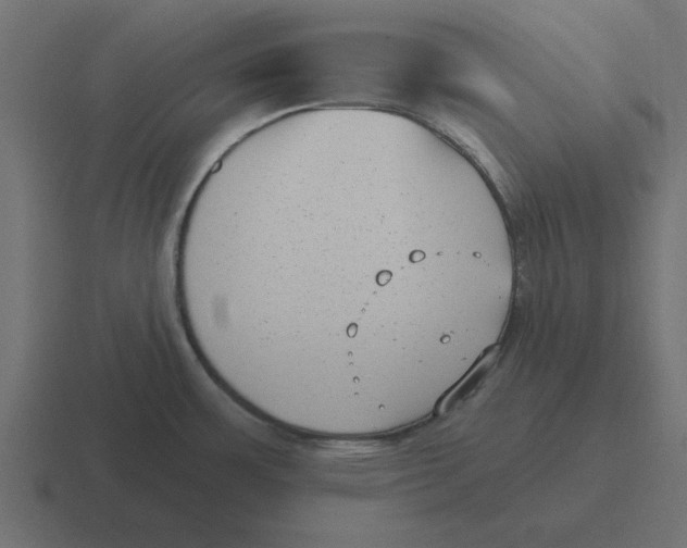 X0000116431483200912291858