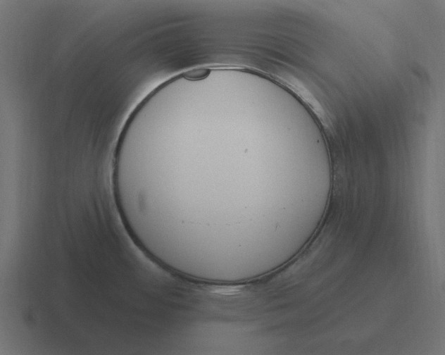 X0000116431484200912291858