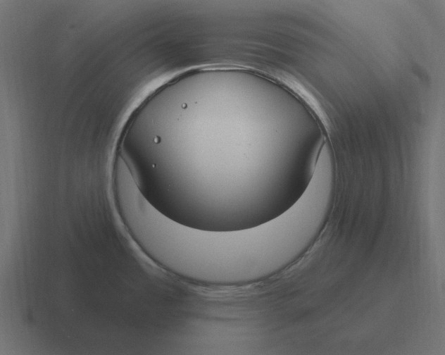 X0000116431485200912291858