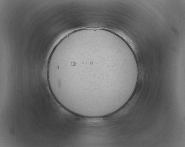 X0000116431486200912291858