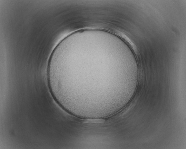 X0000116431487200912291858