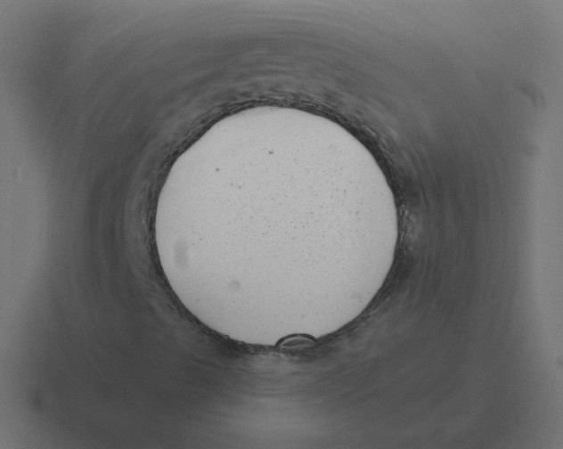 X0000116431489200912291858