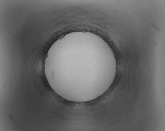 X0000116431490200912291858