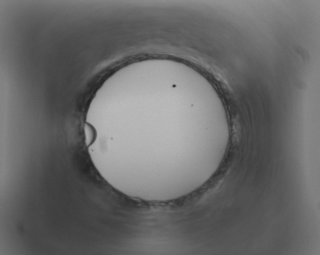 X0000116431494200912291858