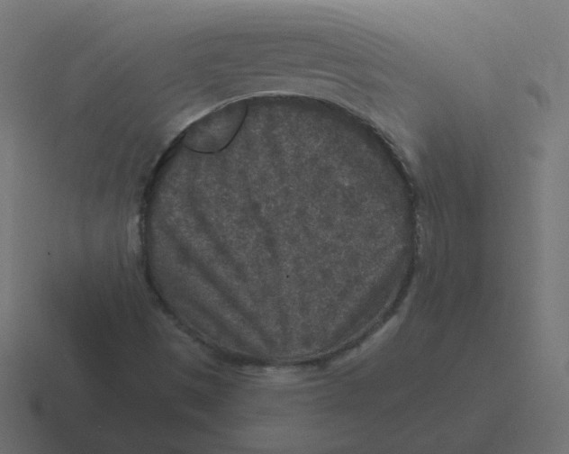 X0000116431497200912291858