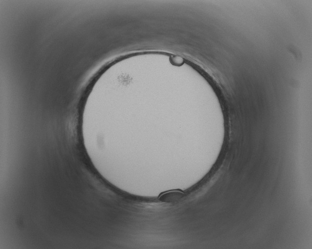 X0000116431502200912291858