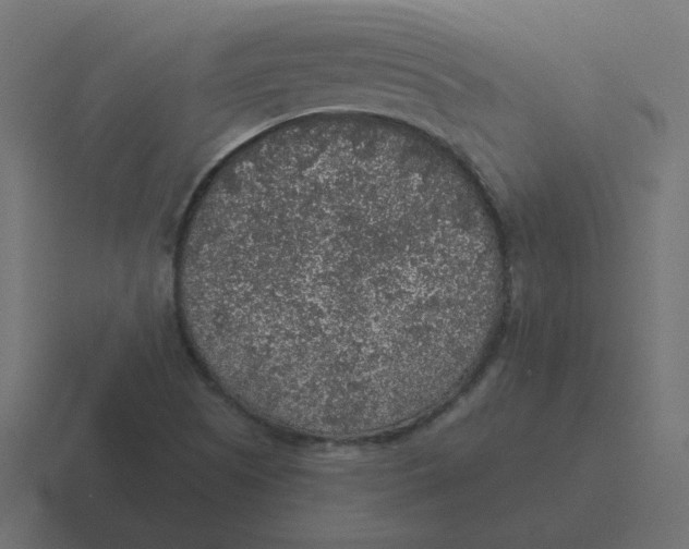 X0000116431505200912291858