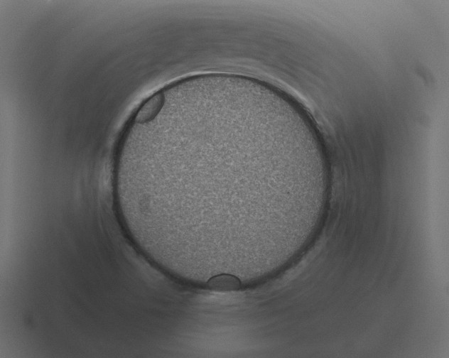 X0000116431506200912291858