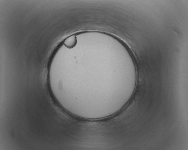 X0000116431507200912291858