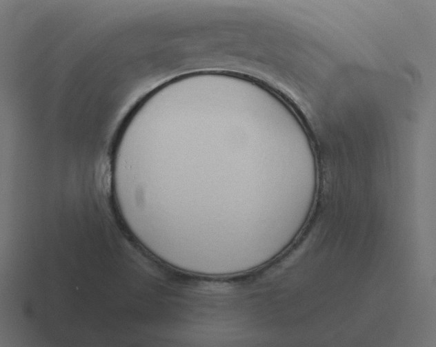 X0000116431509200912291858