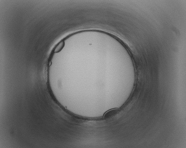 X0000116431510200912291858