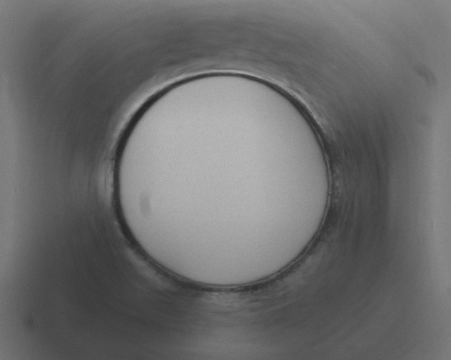 X0000116431511200912291858