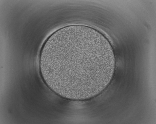 X0000116431514200912291858