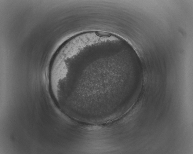 X0000116431515200912291858