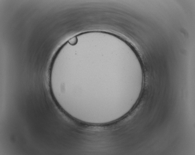 X0000116431517200912291858