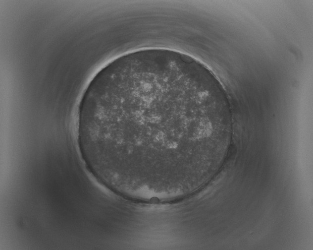 X0000116431519200912291858