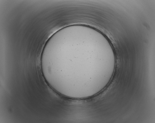 X0000116431521200912291858