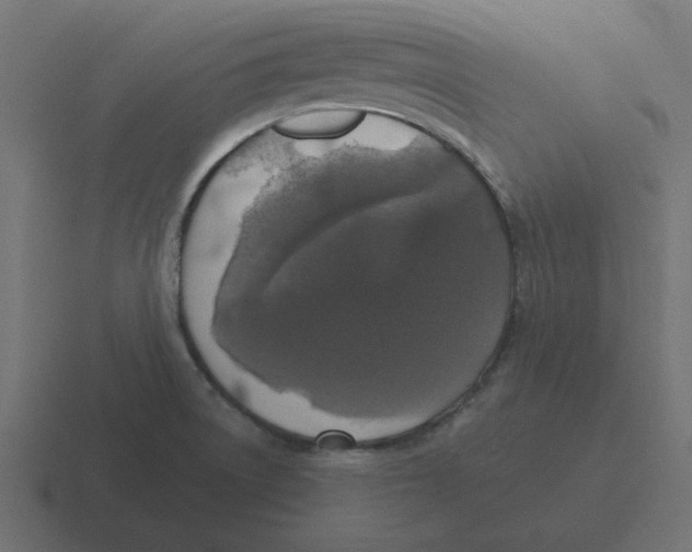 X0000116431522200912291858