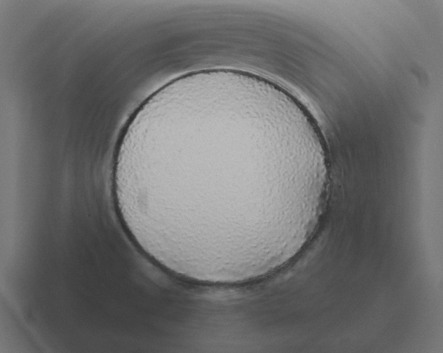 X0000116431525200912291858