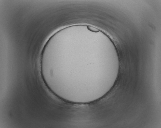 X0000116431526200912291858