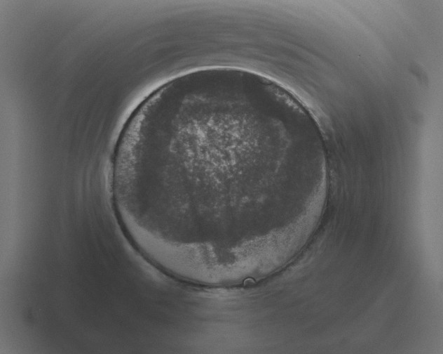 X0000116431527200912291858