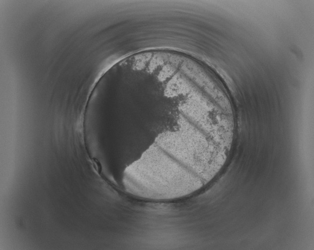 X0000116431529200912291858