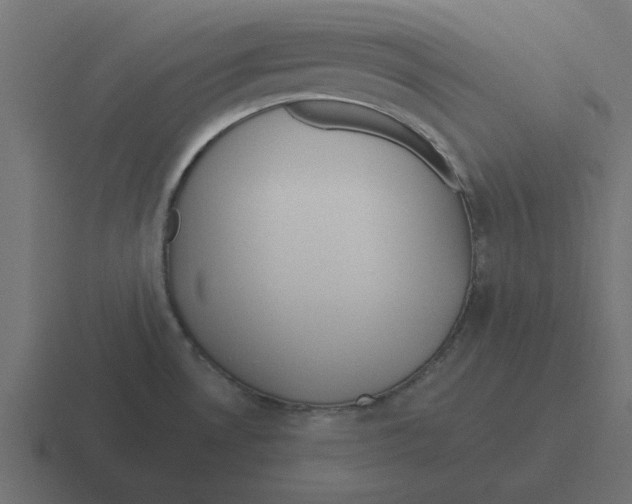 X0000116431530200912291858