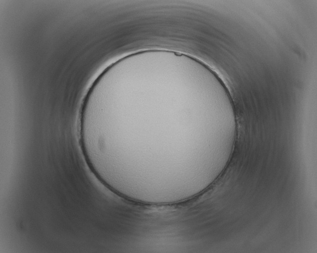 X0000116431531200912291858