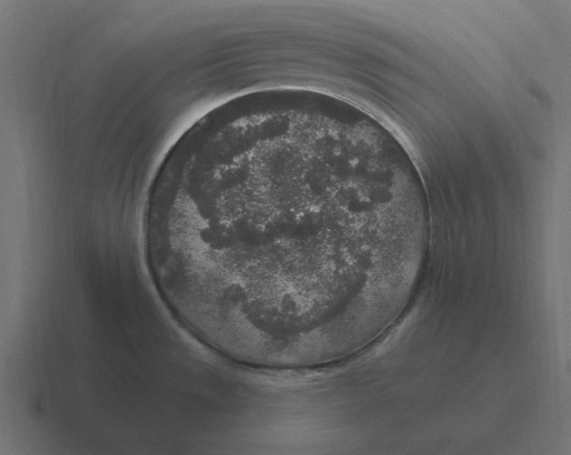 X0000116431533200912291858