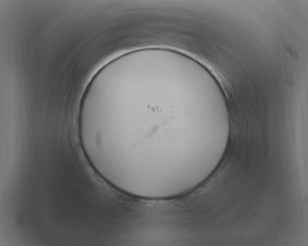 X0000116431534200912291858