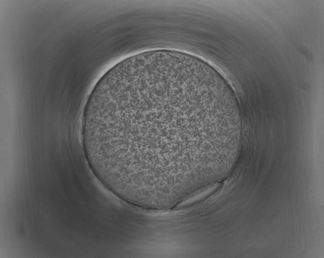 X0000116431535200912291858