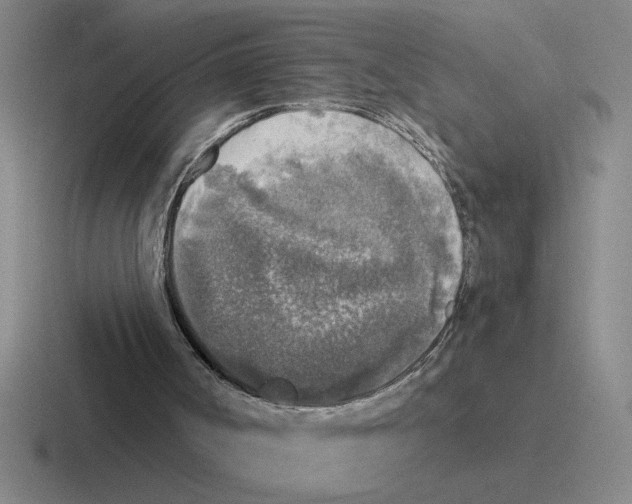X0000116430002201001051154