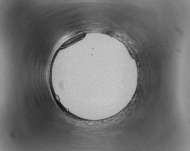 X0000116430003201001051154